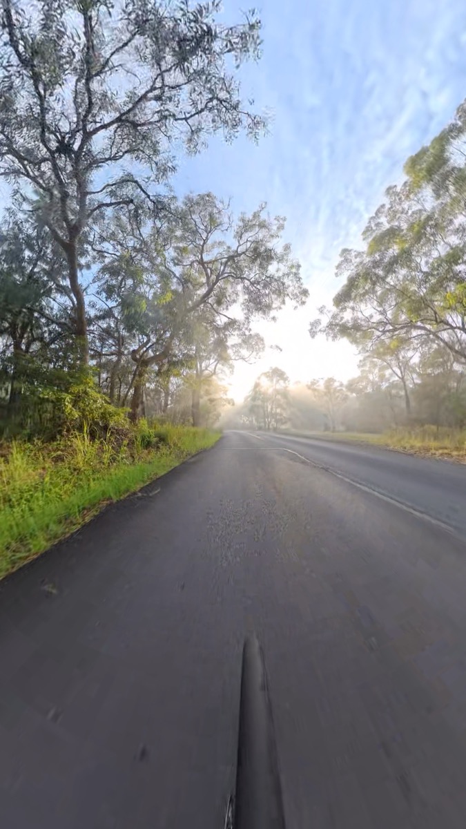 Early morning mist on the road, Northern Sydney